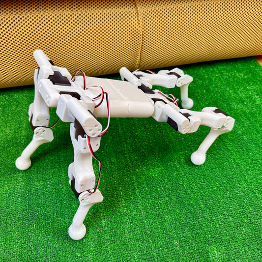 We found ourselves in a dark forest