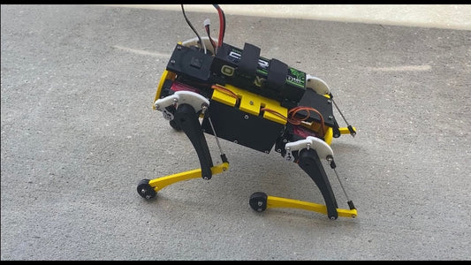 "I want a robot dog."